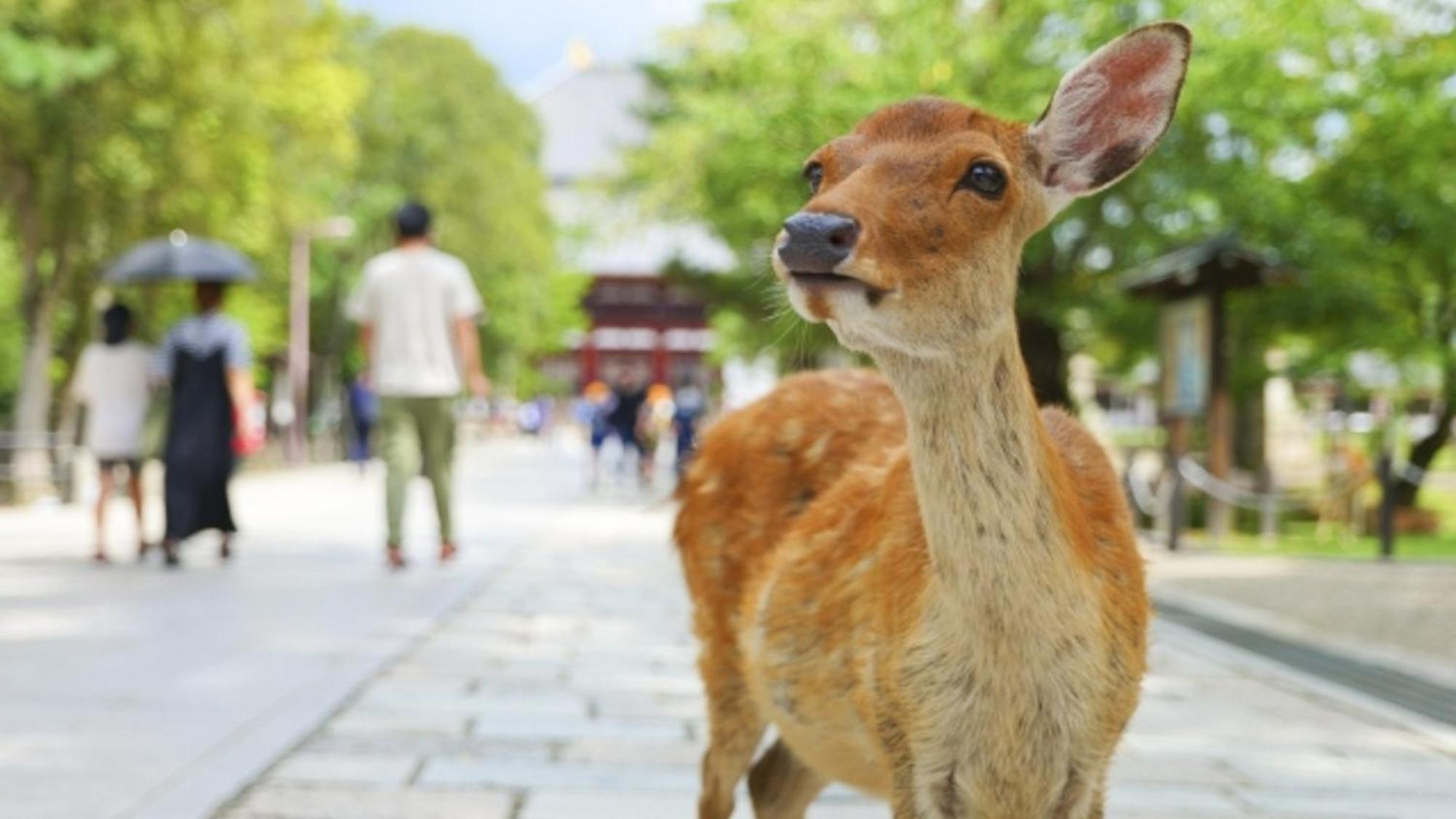 Hotel Arashi Nambaminami Osaka Exteriör bild